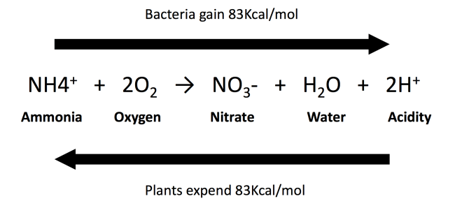 screen-shot-2017-02-21-at-22-35-09