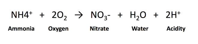 screen-shot-2017-02-21-at-22-35-28